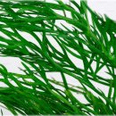 기분좋은점 이미지