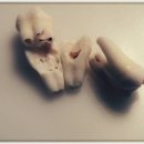 고려치과의원 이미지