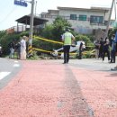 보배렌트카 이미지