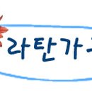 성우인테리어가구 이미지