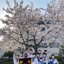 경희대희망태권도장 이미지