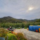 김삿갓사과농원 이미지