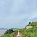 서해대로94번길 이미지