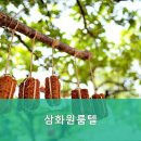 삼화고시원