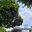 스포원스포츠센터_휘트니스 이미지