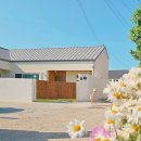 스테이유유 이미지