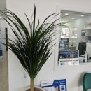 소리난청보청기센터 이미지