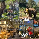 엘리앤몰 이미지