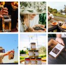 페이징컴퍼니 이미지