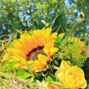 플로리스트전문가교육 이미지