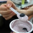 블루베리슈즈