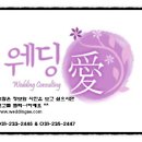 웨딩애