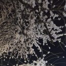 보림돼지갈비 이미지