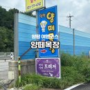 우신목장 | 아이와 함께 가기 좋은 양평여행 코스 양평 양떼목장 요금표 체험 후기