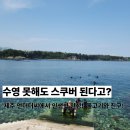 제주 스킨스쿠버 수영 못해도 가능? 언더더씨 스쿠버다이빙 체험 솔직후기