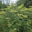 영봉농장 이미지