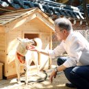 살랑살랑 이미지