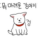 메다카갤러리 네이버블로그