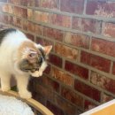 집사의하루 혜화점 이미지