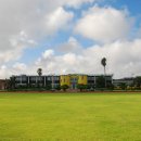 대정서초등학교 이미지