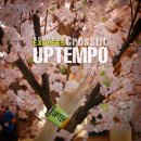 크로스핏 업템포 이미지