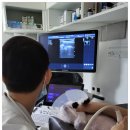 안심 동물의료센터 이미지