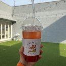 바운스독카페 이미지