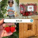 런닝맨 방영 여주 피크니코 딸기체험 농장 아이와 갈만한곳 내돈내산 재방문 후기
