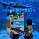 꿈동산 어린이집 | 코엑스 아쿠아리움 공연 총정리, 주차, 유모차, 잠실 아쿠아리움 비교