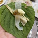 독도참가자미회 이미지