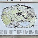 솔리,자운 이미지