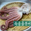 옥동돌문어 | 달서구 문어숙회; 문어숙회/문어튀김/석화찜 맛집_옥동돌문어 대곡점