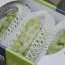 한옥농장 이미지