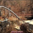 물고기의눈물이호수로 이미지