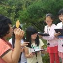 팔룡초등학교 이미지