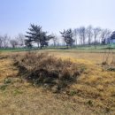 신길공원 이미지