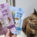 킴스헤어라인 이미지