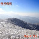통 삼 이미지