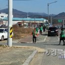 풍각면사무소 이미지