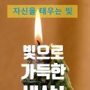 촛불호프 - 서구 | 촛불호프