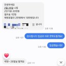 핑코하우스 이미지