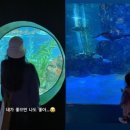 행복한수족관 이미지