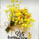 끌림앤유 - 8561 | 끌림앤유