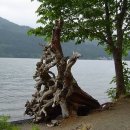 인더리버(In the river) 이미지