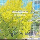 와쿠디저트 이미지