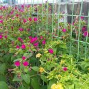 남산3리마을회관 이미지