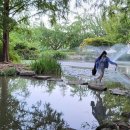 달그림자공원 이미지