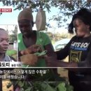 김요한농장 이미지