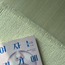 쥬니파스타 네이버블로그