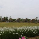 무안황토갯벌랜드 전시실 이미지